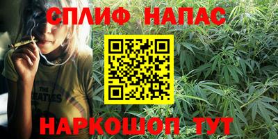 шишки Гуково