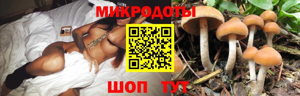 Галлюциногенные грибы MAGIC MUSHROOMS  Вход с VPN  Вятские Поляны 